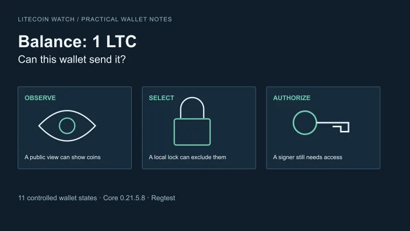 Why your Litecoin wallet shows a balance but cannot send