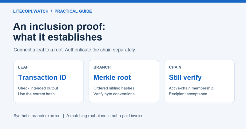 Verify a Litecoin inclusion proof: Merkle roots, headers and limits