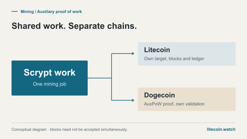 Participating miners use shared Scrypt work. Litecoin and Dogecoin retain separate targets, blocks and ledgers. A Dogecoin block does not require a simultaneous accepted Litecoin block.