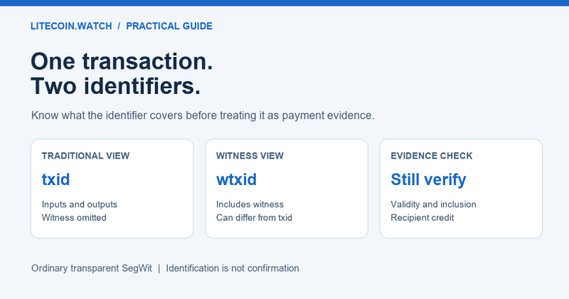 Litecoin txid and wtxid: two identifiers, different evidence